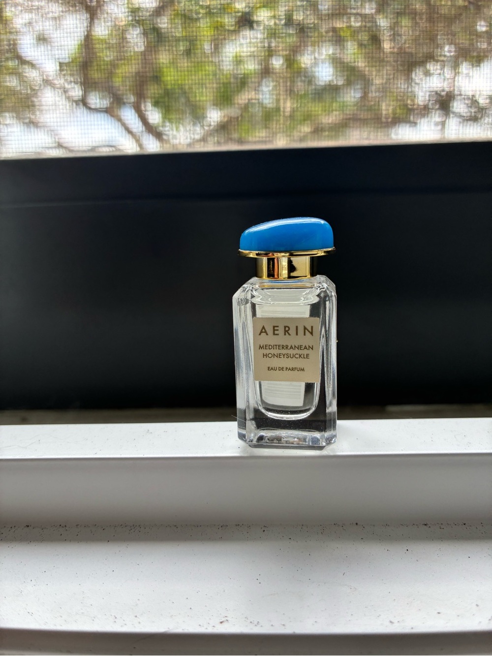 Aerin Mediterranean Honeysuckle Miniature